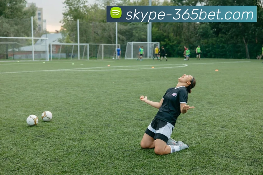 365bet平台生态图